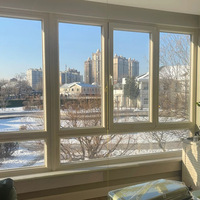 Ventana Abatible de PVC de Alta Calidad, Resistente a la Intemperie, con Marco Delgado y Sólido, de Vidrio Templado de Bajo Consumo para Taller Exterior