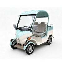 Scooter électrique à 4 roues Holladay, nouveau modèle, 2 places, mini quadricycle électrique avec auvent et boîte de rangement pour la Corée