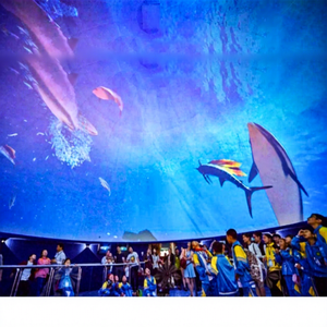 Dôme de projection des aurores boréales, dôme de planétarium, écran de couverture, <span class=keywords><strong>cinéma</strong></span> 360 degrés, tente de dôme, projecteur de théâtre - Product Image 1