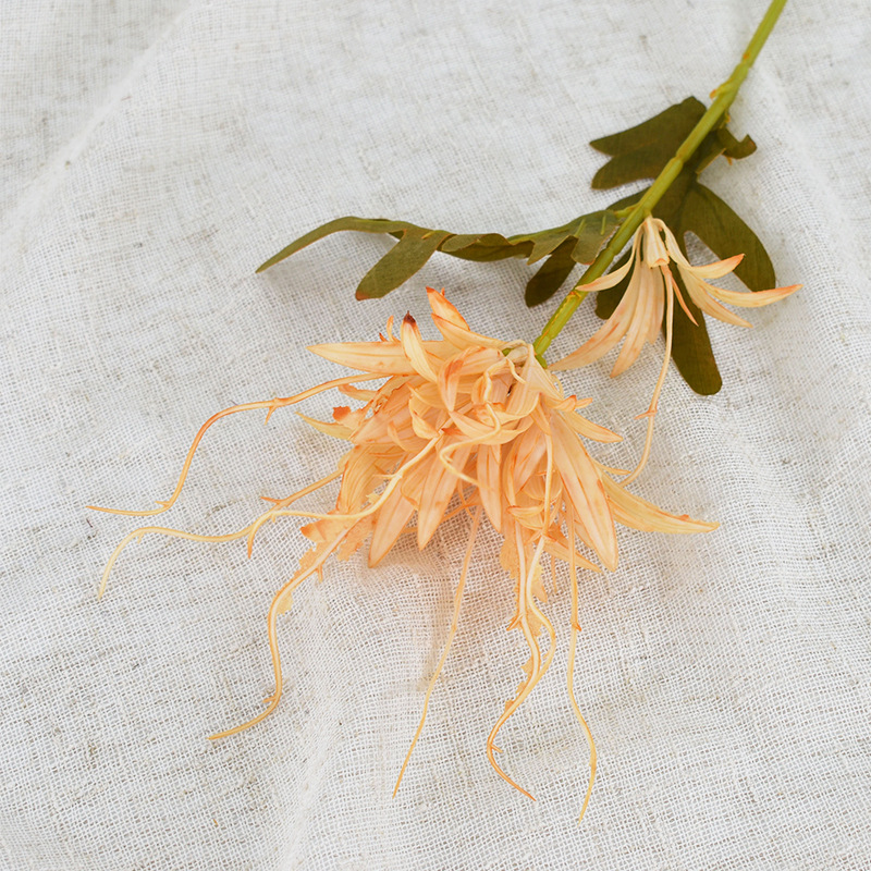 Arancione