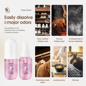 Cosmétiques Marque Privée de Qualité Supérieure Longue Tenue Anti-Odeur 4 Senteurs Spray Corporel Parfumé Parfums Originaux pour Femme pour la Beauté - Product Image 4