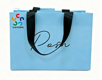 Sac en papier cadeau de luxe en carton épais - Sac fourre-tout laminé personnalisable - Emballage haut de gamme