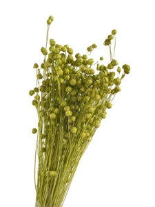 Vente en gros d'usine, arrangements floraux naturels séchés <span class=keywords><strong>de</strong></span> Zante avec du <span class=keywords><strong>lin</strong></span> pour la décoration <span class=keywords><strong>de</strong></span> la maison, mariage, fête des mères, Noël, bouquets - Product Image 2