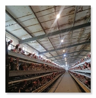 Offre Spéciale : Équipement d'élevage avicole – Système de cages pour poules pondeuses – Cage à batterie pour poulets pondeurs