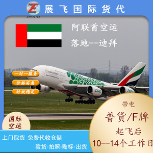 Zhanfei International, Logística de Carga Aérea con Imán para Refrigerador para FBA en Dubái, Arabia Saudita, Vuelo Directo a los Emiratos Árabes Unidos, Entrega a Domicilio - Product Image 3