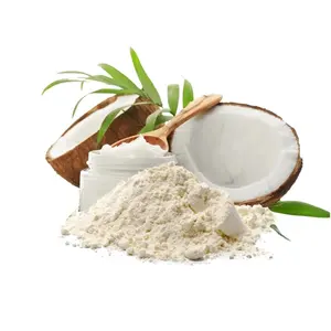 China Supplier Wholesale High Quality Freeze-dried Coconut Powder For Export