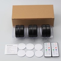Lampe de nuit LED à piles économique et performante avec télécommande