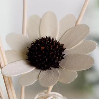 Diffuseur de parfum d'ambiance en céramique sans flamme, ensemble d'huiles essentielles d'aromathérapie longue durée 30 ml, sans BPA, écologique, pour chambre et bureau