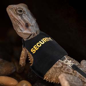 Harnais personnalisé en nylon pour lézard barbu, reptile, avec laisse courte réglable de 5 pieds pour la marche en extérieur - Product Image 6