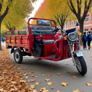 Tricycle de transport agricole électrique à 3 roues avec moteur VART, roulements personnalisés, tableau de bord, 60V 1500W 5000W, capacité de 4 tonnes - Product Image 4