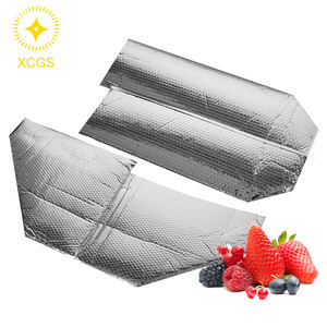 Bolsa Térmica Modelo Aislada, Material Ecológico Duradero, Higiénica, Impermeable, Resistente al Desgaste y a la Presión - Product Image 6