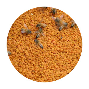 Chinese Wholesale Prices <strong>Sale</strong> Types Cell Broken Fennel Palm Rape <strong>Ginseng</strong> HEMP Organic Extract 20:1 <strong>Powder</strong> Pine Bee Pollen - Product Image 5