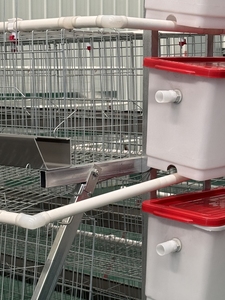 Sistema Moderno de Jaulas Automáticas para la Producción de Huevos de Aves de Corral, Jaula para Pollos - Product Image 3