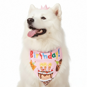 مخصص فاخر مهرجان الكرتون البوليستر الحيوانات الأليفة باندانا قبعة مريلة المطبوعة تصميم حلو للاحتفال بعيد ميلاد الكلب إكسسوارات وشاح - Product Image 4