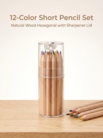 12 mini crayons de couleur en bois naturel, hexagonaux, avec tube en plastique transparent et couvercle, non toxiques, pour enfants, cadeau, logo personnalisé, OEM, en gros