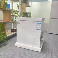 Congélateur Armoire Commercial Vitré à Froid Statique pour Crèmes Glacées