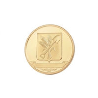 Pièce commémorative en métal personnalisée, ronde, plaquée or, en alliage, pour cadeau et souvenir