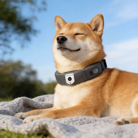 Traceur GPS pour chien, suivi en temps réel, positionnement précis, lecture de l'historique des trajets, clôture électronique, étanche IP66, compatible Android/iOS
