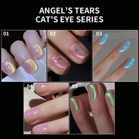Nouvel arrivage Tendance Cat Eye Gel Polish 5 couleurs Sharp Flash Petite ampoule personnalisée Marque OEM pour l'art