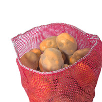 Sacs en filet tubulaires circulaires en PP personnalisés pour l'oignon, vente en gros, Maroc, Algérie, Tunisie, Égypte, Soudan, Kenya, Afrique du Sud, Zimbabwe