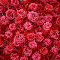 Toile de fond murale en fleurs artificielles en soie rouge 3D de 8 pieds x 8 pieds - Ne se décolore jamais