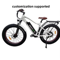 Vélo électrique à pneus larges de 24 pouces, moteur 750W, batterie au lithium 48V 15AH, frein à disque mécanique, modèle adulte