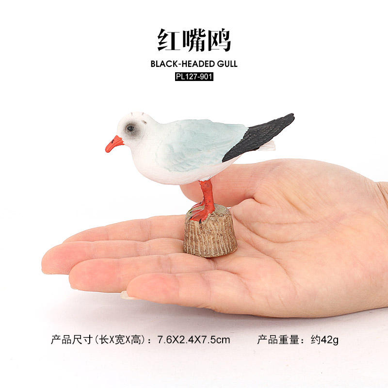 901 Black-headed Gull