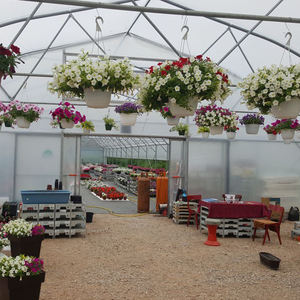 30X10 Meter Gegalvaniseerd Stalen Frame Pe Film Kas Landbouw Enkele Overspanning Tunnel Kas - Product Image 6