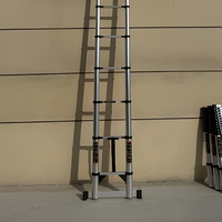 Échelle télescopique en alliage d'aluminium simple face de 2,7 m, design moderne, capacité de 150 kg, utilisation intérieure/extérieure