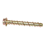 M8 M10 M12 Acier zingué Tête hexagonale Ciment Vis Ancrages pour béton Maçonnerie pour blocs et briques Applications