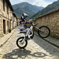 Nouveau modèle 2026 mis à jour Surron Light Bee X 72V Vélo électrique tout-terrain robuste Vente directe usine Prise en charge des commandes en gros