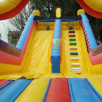 Couleurs vives Les adultes et les enfants adorent le toboggan gonflable géant aquatique