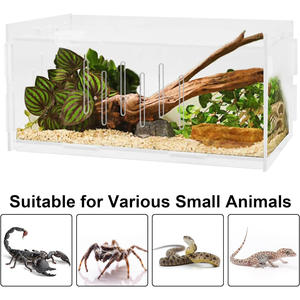 Réservoir d'élevage transparent personnalisé pour reptiles, terrarium, araignée tarentule, boîte d'alimentation, habitat d'insectes pour lézard - Product Image 4