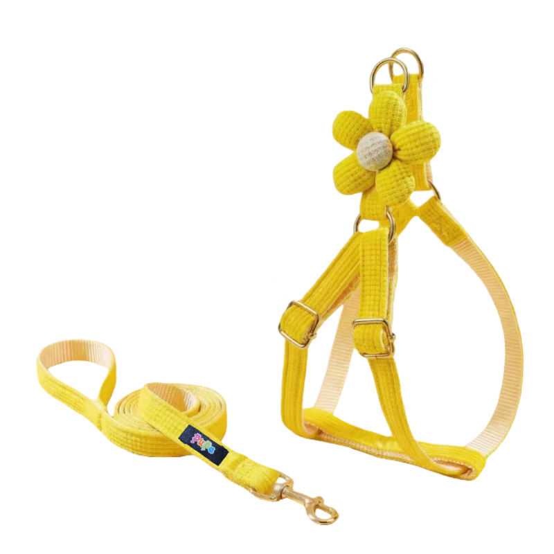 สีเหลือง