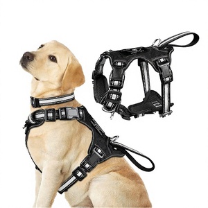 Hot Sale Reflective Solid Nylon Buckle Closure CT-lite Pet <b>Harnesses</b> Adjustable <b>No</b> <b>Pull</b> Dog <b>Harness</b> for Size S - Product Image 2