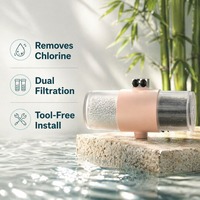 Filtre de Douche et Baignoire en Plastique à Remplacement Rapide, Purificateur de Chlore à Double Cartouche, Installation Facile pour Usage Domestique, Vente en Gros