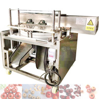 Gestabiliseerde Datum Kernel Steen Extractie Extractor Zaadkernen Verwijderen Machine Data Pitter Putmachine