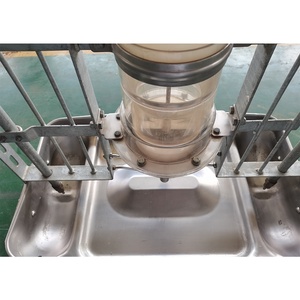 Prix d'usine Mangeoire pour porcs de haute qualité Mangeoire humide et sèche - Product Image 6