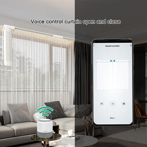 المغناطيسي القضبان زيجبي في الهواء الطلق الزخرفية قضيب للستائر الذكية ستارة مزودة بمحركات نظام تويا التلقائي الكهربائية الستائر للمنزل - Product Image 6