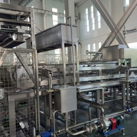 Ligne de production de boulettes de tofu et de sachets de bonheur à haute efficacité, équipement de traitement du tofu en acier inoxydable de qualité alimentaire avec contrôle PLC