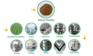 Заводская поставка Экстракт Листьев тутового дерева DNJ1 %-5% экстракт листьев тутового дерева - Product Image 5