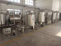Pasteurisateur de lait de chameau Yaourtière Machine automatique de traitement du lait 300L 500L Machine de pasteurisation par lots
