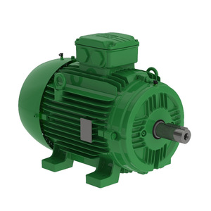 Motor de Inducción a Prueba de Explosiones WEG, Trifásico, Montaje en Pedestal, Motor Eléctrico Especial - Product Image 2