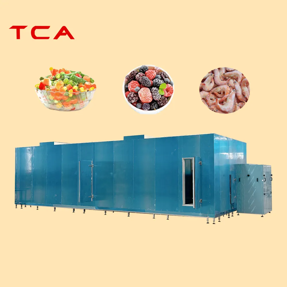 TCA 300kgh 200kgh 100kgh индивидуальная быстрая морозильная камера SUS 304 морозильная камера для фруктов CE морозильная камера для овощей