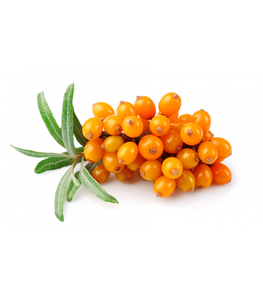 AARNAV Aceite Portador de Bayas de Espino Amarillo (Hippophae Rhamnoides) Prensado en Frío, Certificado GMP, Ucrania, Color Naranja Claro/Rojo, Modelo para el Cuidado de la Piel - Product Image 4