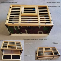 Cage d'entraînement pliable pour pigeons, cage de libération pour pigeons de course, panier pour pigeons, cadre en bois, camouflage, porte à ouverture frontale, empilable, 40-80 cm