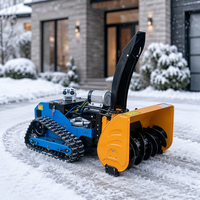 Souffleuse à neige sur chenilles haute puissance et robuste pour l'élimination de la neige sur routes montagneuses, sites miniers et régions alpines ; 300 kg, garantie 1 an