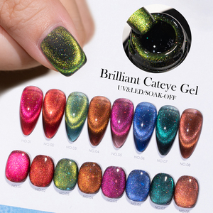 CAIXUAN 厂价免费样品 磁性指甲油出售 15ml 指甲油不含TPo/HEMA 专业亮泽猫眼凝胶 - Product Image 1