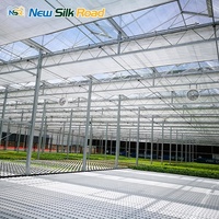 Grote Venlo-type multispan kas van polycarbonaat met verzinkt stalen frame, ventilatie- en koelsystemen