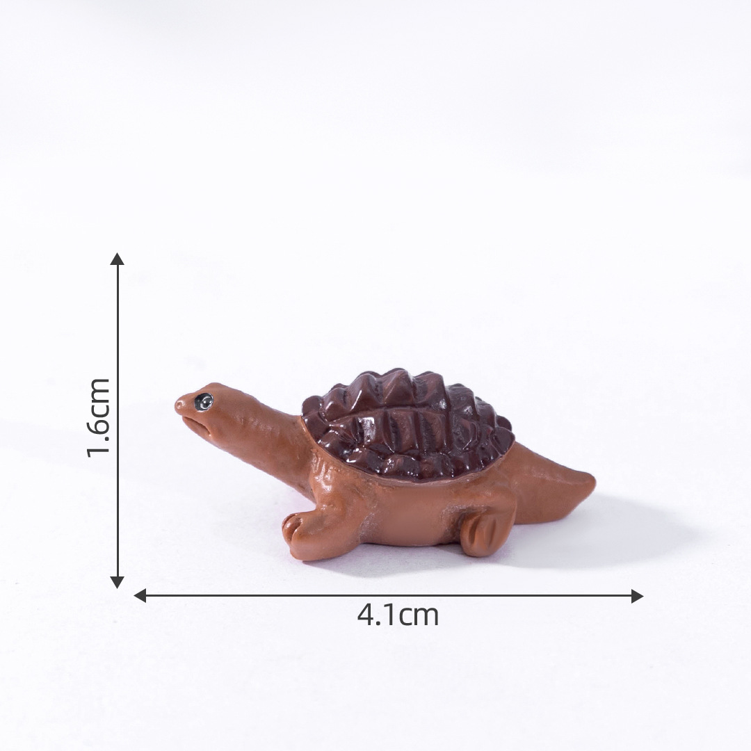 5#เต่าจระเข้